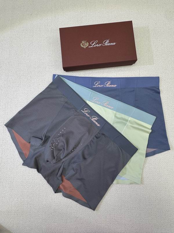 Loro Piana boxer L-4XL 091809